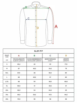 Jucinto Cut Away Collar Overhemd Lange Mouw Grey