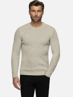 Minnesota Pattern Crew Neck Beige Truien